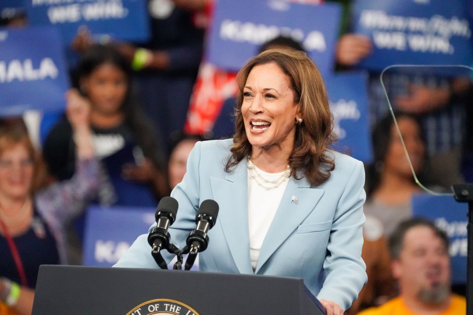 Royal commentator Richard Fitzwilliams claimed the Duchess could provide an endorsement for US Vice President Kamala Harris