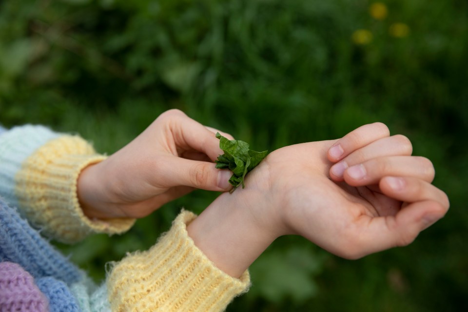 a person is holding a green leaf on their wrist