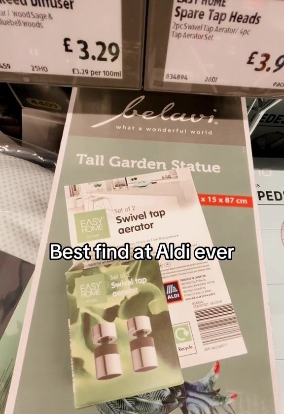 Amy took to TikTok to share a video of the "best Aldi find ever"