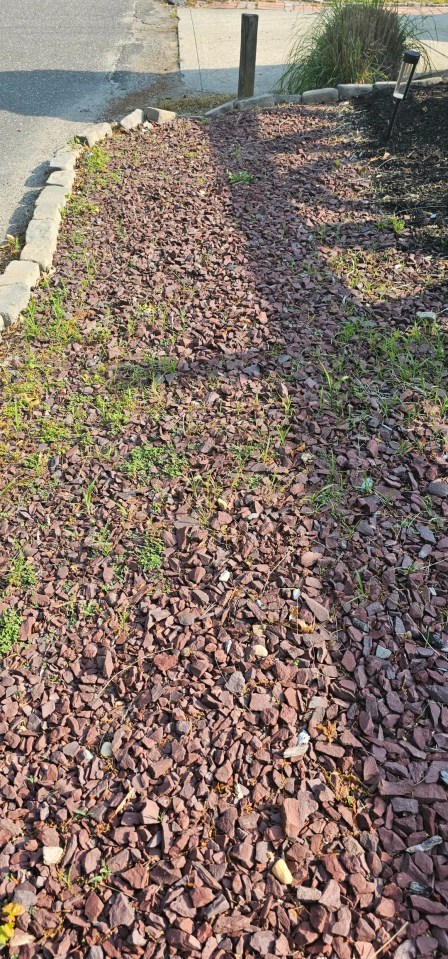 A Reddit user asked for a natural hack to get rid of his gravel weeds