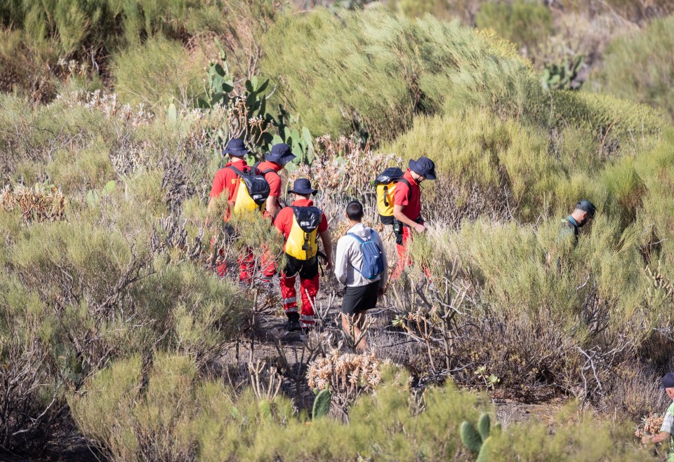 a group of people are walking through a field and one of them has a backpack that says ' rescue ' on it