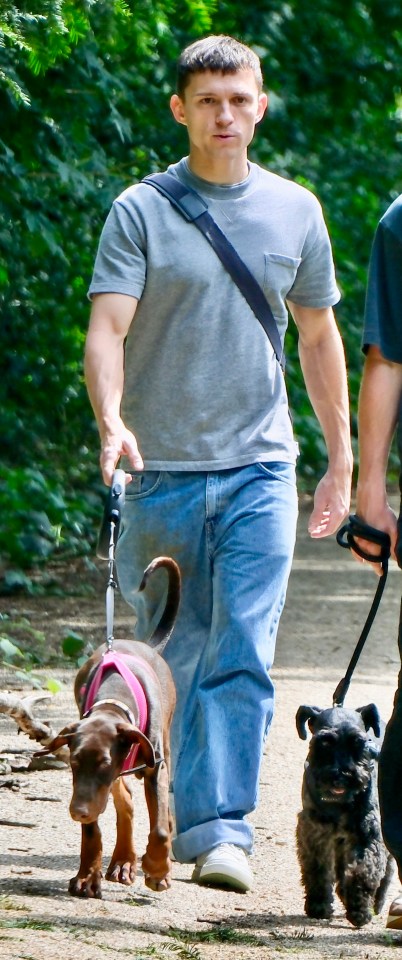 Tom Holland was spotted taking his new security puppy for a walk