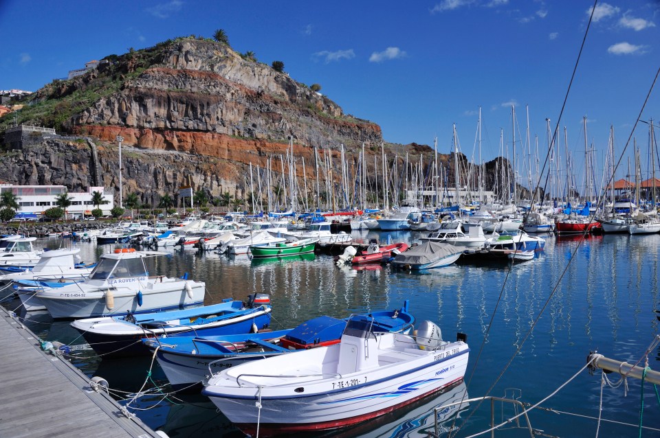 several boats are docked in a harbor one of which has a license plate that starts with t