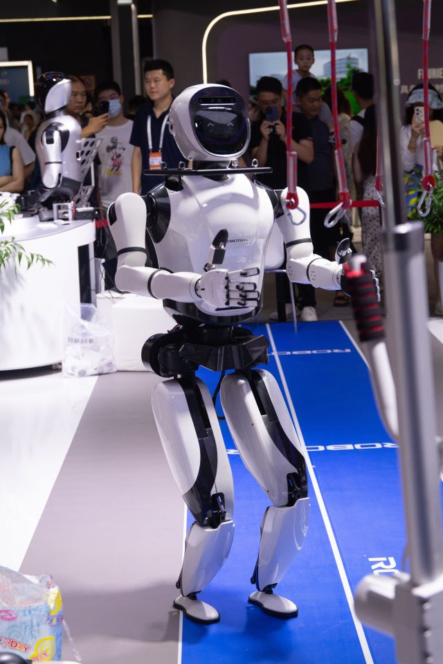 Another type of humanoid robot walks and interacts with people