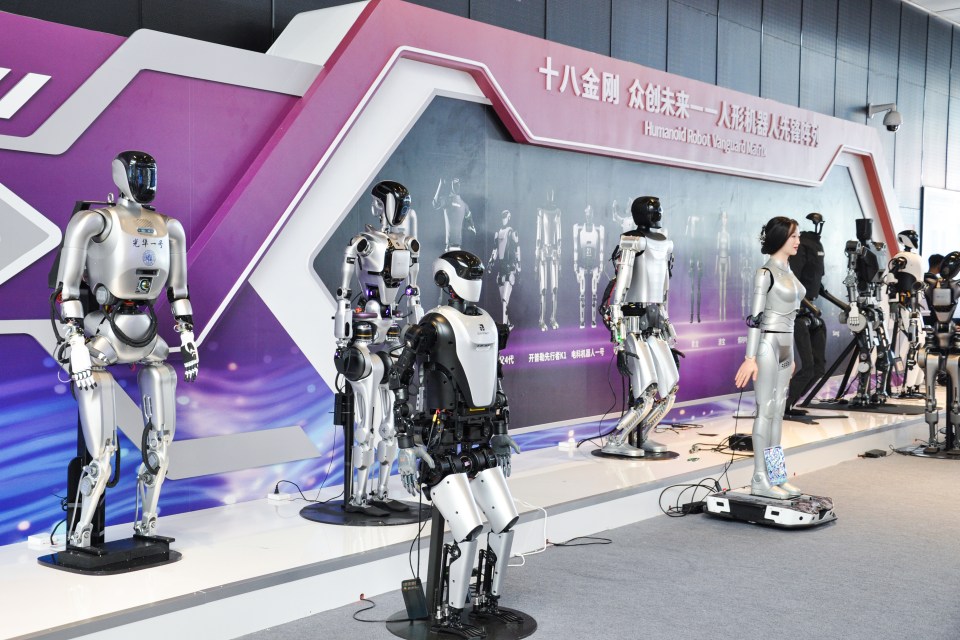 There were different types of robots on display at the  Shanghai World Expo Exhibition Center in Shanghai, China,