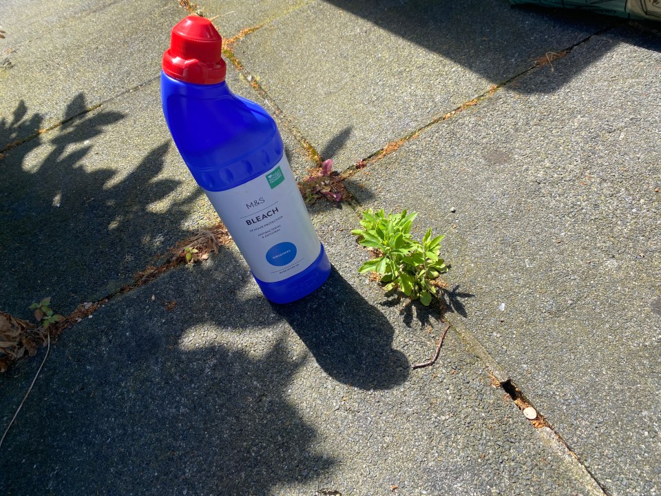 The 70p bleach hack worked the best for destroying unwanted greenery