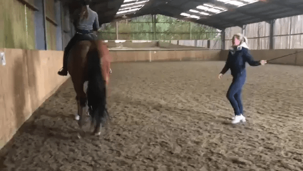 Footage of the dressage rider beating a horse with a whip saw her lose her funding