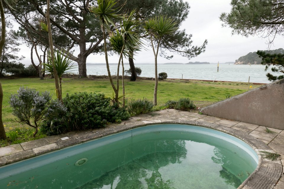 An algae covered pool sits abandoned in the garden