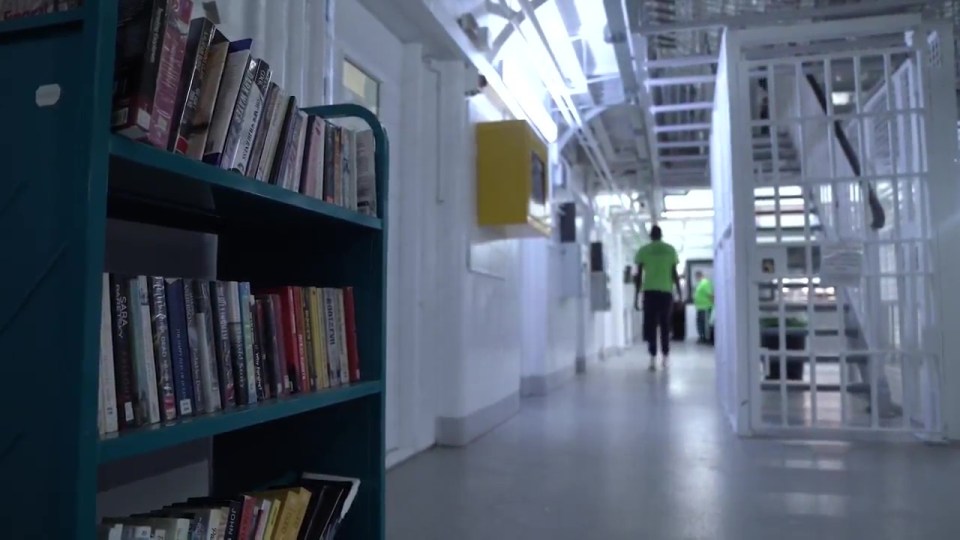 a shelf full of books includes a book called paradise