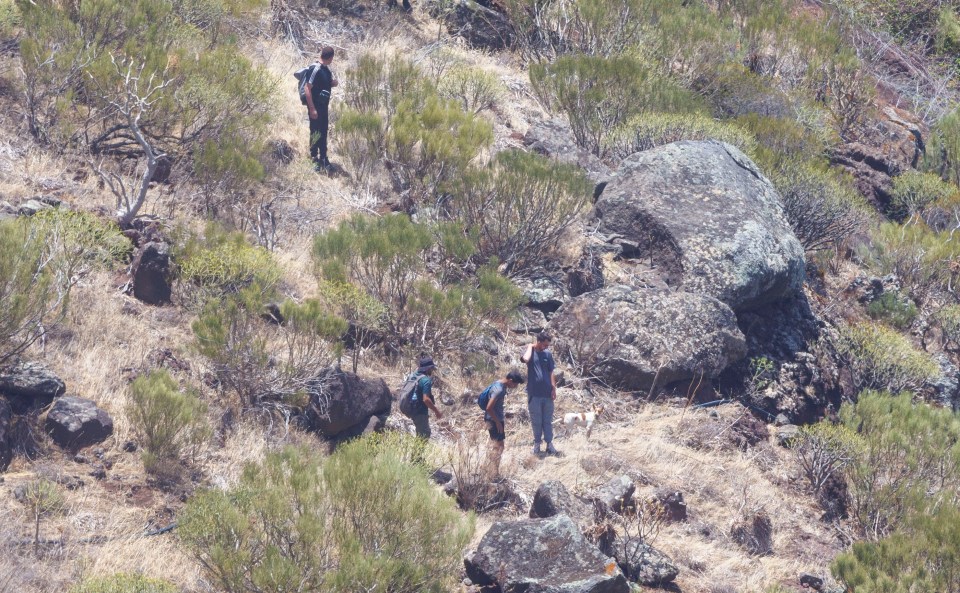 The new search partner scaled a steep slope in Tenerife