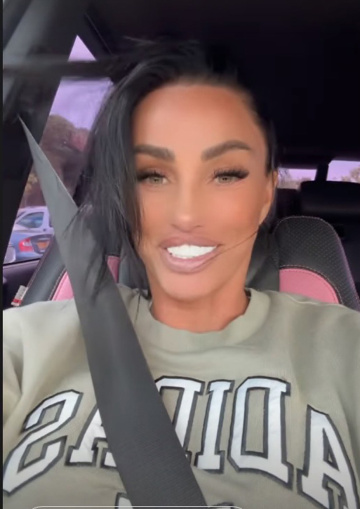 Katie Price has plans to add a guard dog to increase security after her car was attacked with acid.