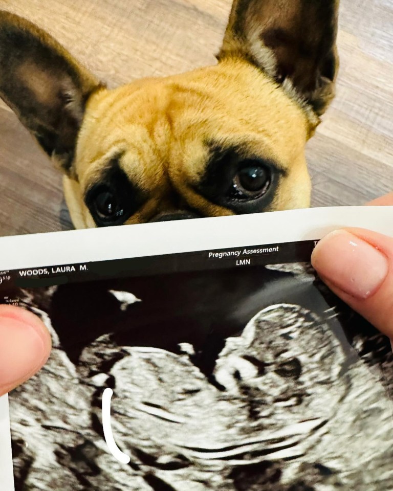 They shared the news on Instagram yesterday with their bulldog posed with Laura's sonogram