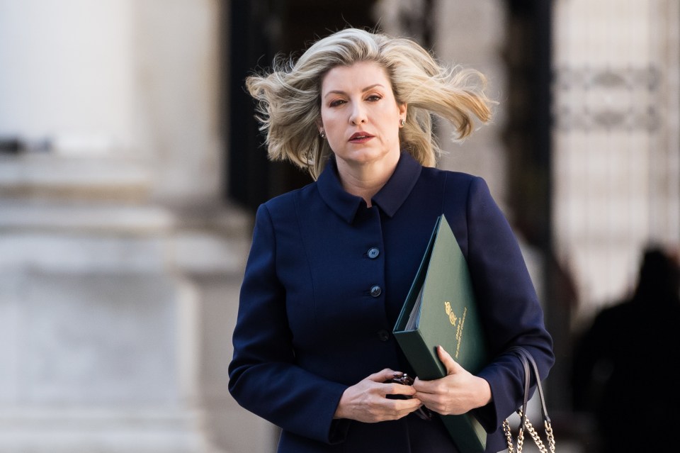 Mordaunt was once seen as a potential future leader of the Tories