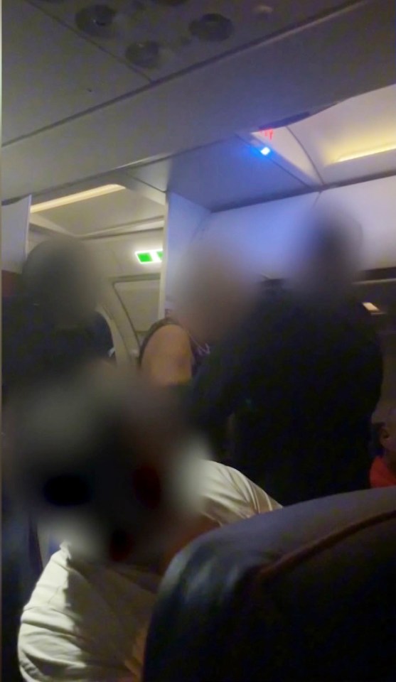 The seemingly drunk duo began shouting and swearing at other passengers and members of the flight crew