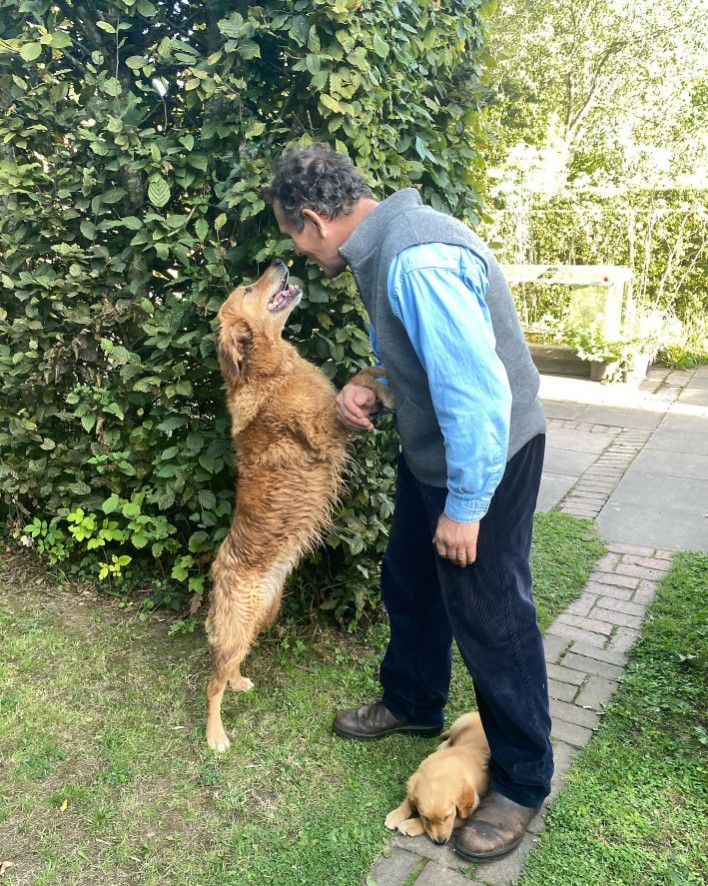 Monty Don shared an emotional throwback snap with his dogs on Instagram