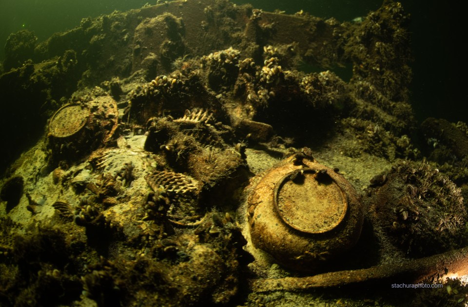 a photo of a coral reef taken by stachuragefoto.com