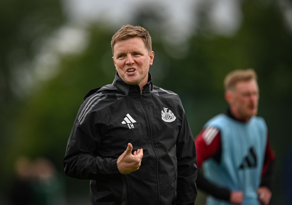 The FA are keen on Eddie Howe if Gareth Southgate steps down