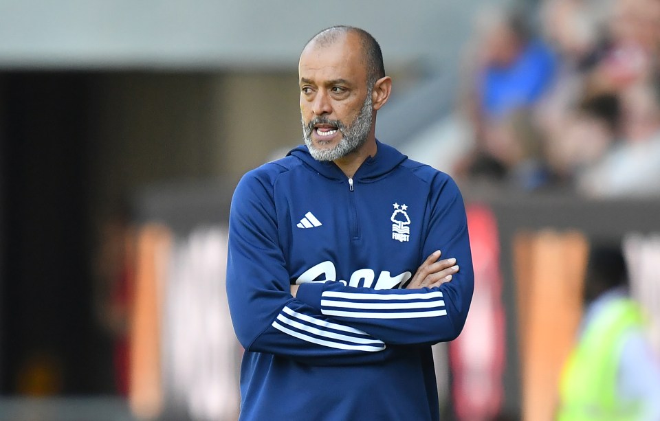 a man wearing a blue adidas jacket stands with his arms crossed