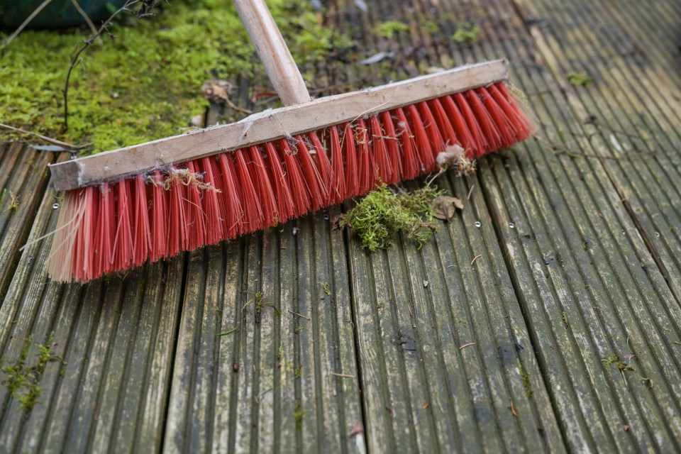 Patio moss can be tricky to get rid of