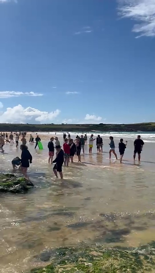 A crowd of tourists rush to try to save the ice cream van