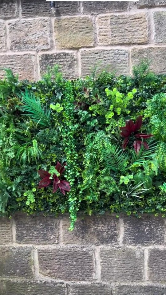 We think Claire's green wall is a cost-effective way to give a garden a glow up