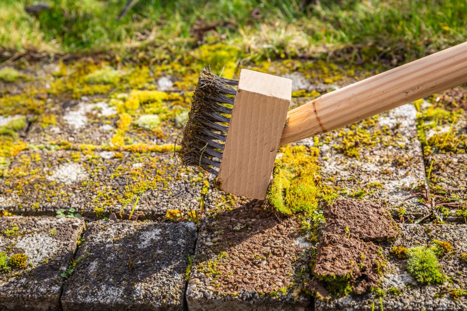 Experts advised against using a pressure washer