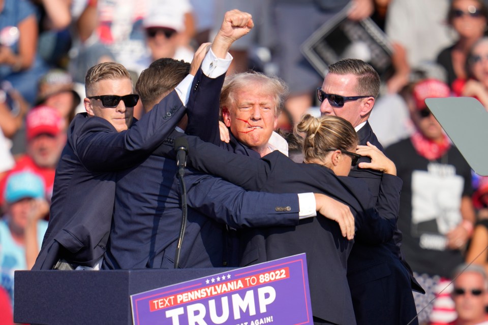 A defiant Donald Trump pumped his fist after he was grazed by a bullet