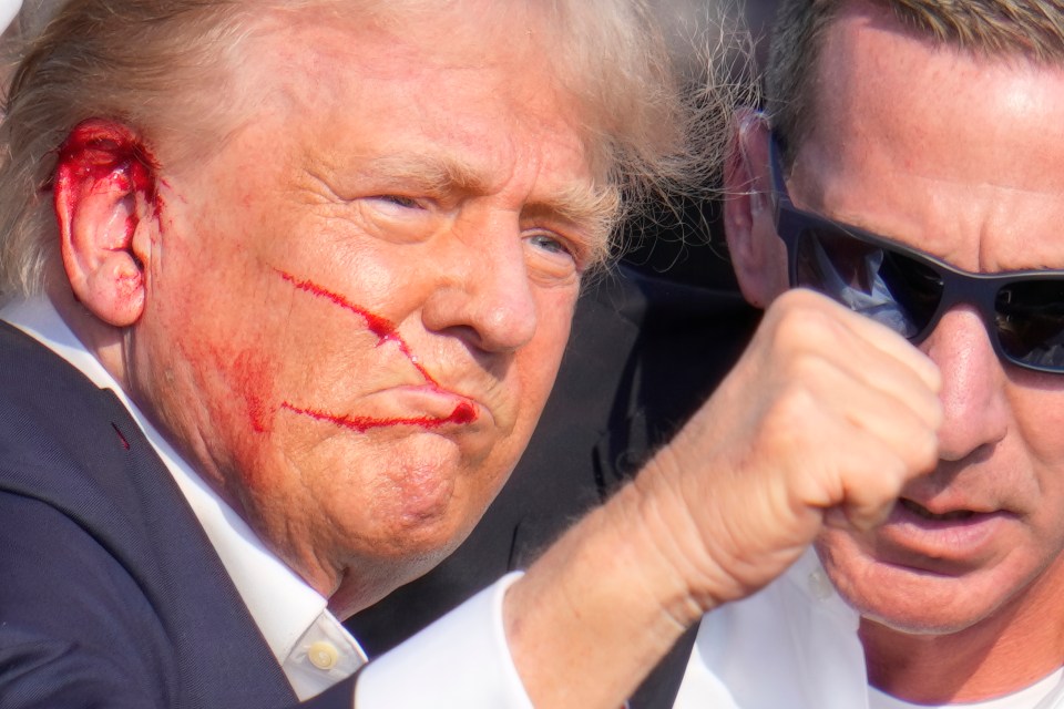 The bullet pierced Trump's ear, leaving him bloodied but 'fine'