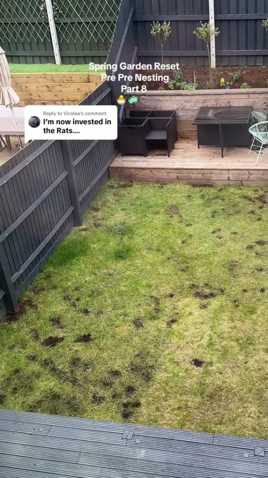 People were quick to point out the reason Charlene was getting rats in her garden thanks to a popular feature