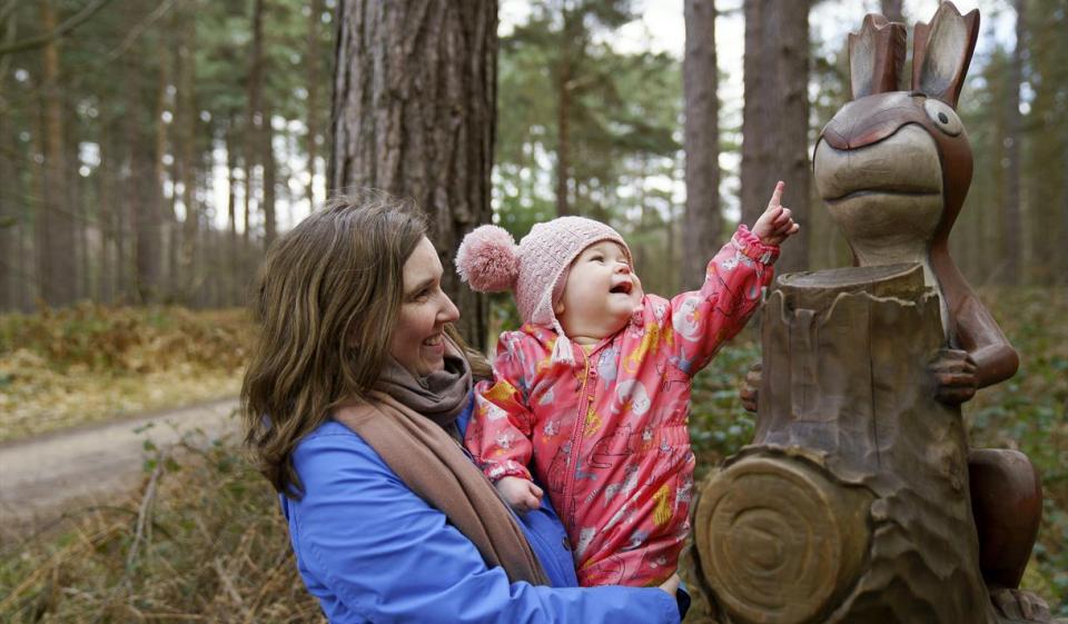 Sherwood Pines in Nottinghamshire has been named England's best free outdoor attraction