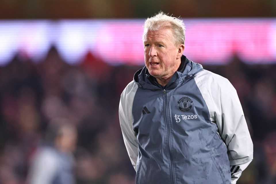 Steve McClaren has been linked to the Nigeria job