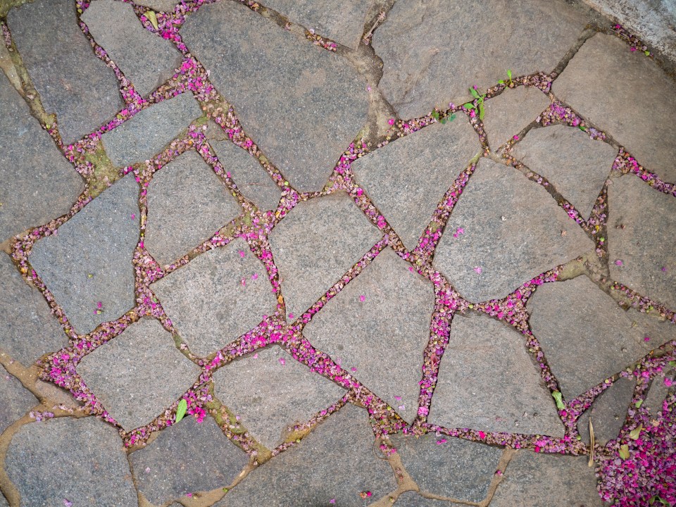 A load of different-coloured and shaped slabs in your garden  is old-fashioned