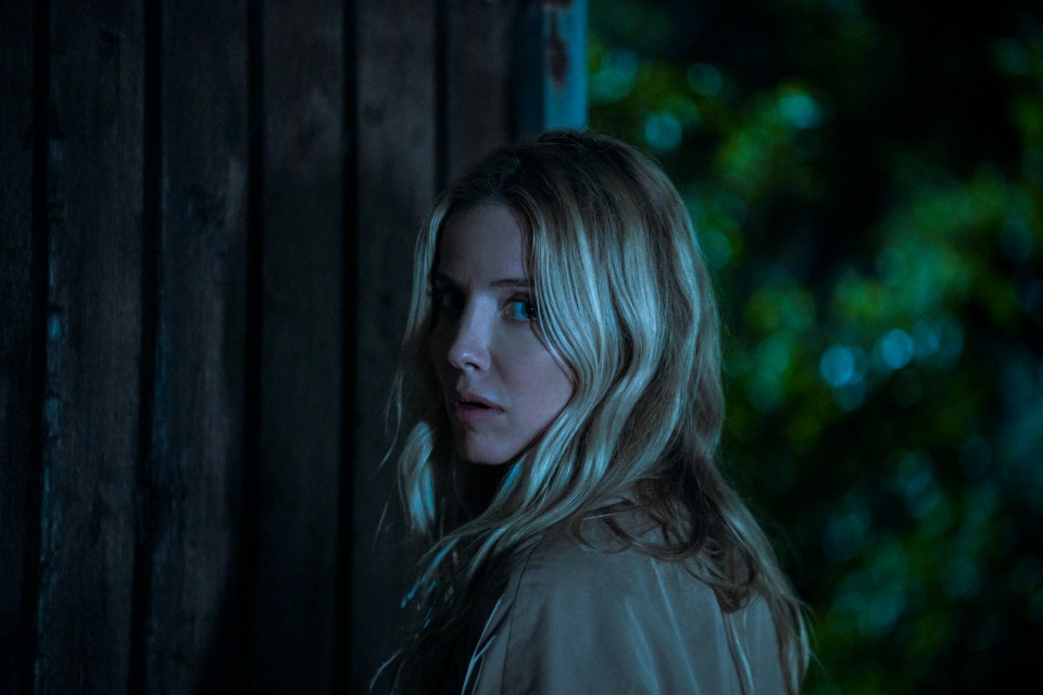 Netflix fans furious after 'terrible twist' in new thriller Vanished Into the Night