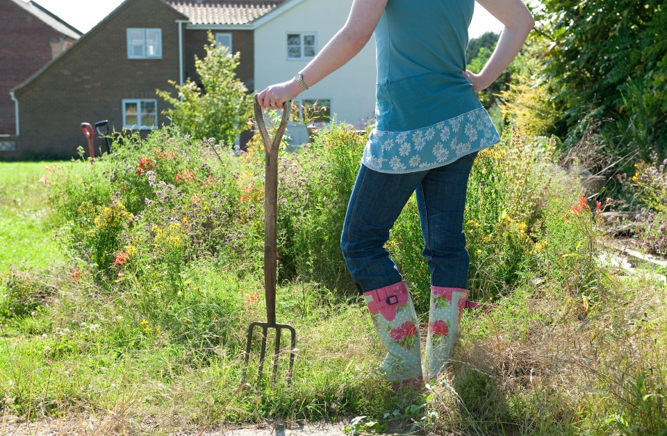 While I might not be a green-fingered expert, I finally found an easy way to get my patio looking tidy again