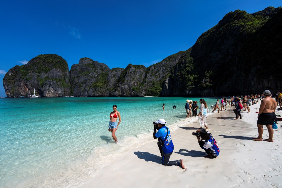 The beach will be closed off to tourists for the next two months