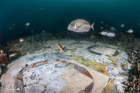 Here shoals of fish swim around a mosaic on the ocean floor