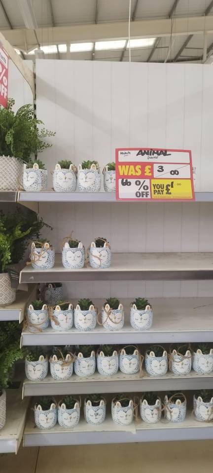 You can also get a pot with an artificial plant in it for just £1