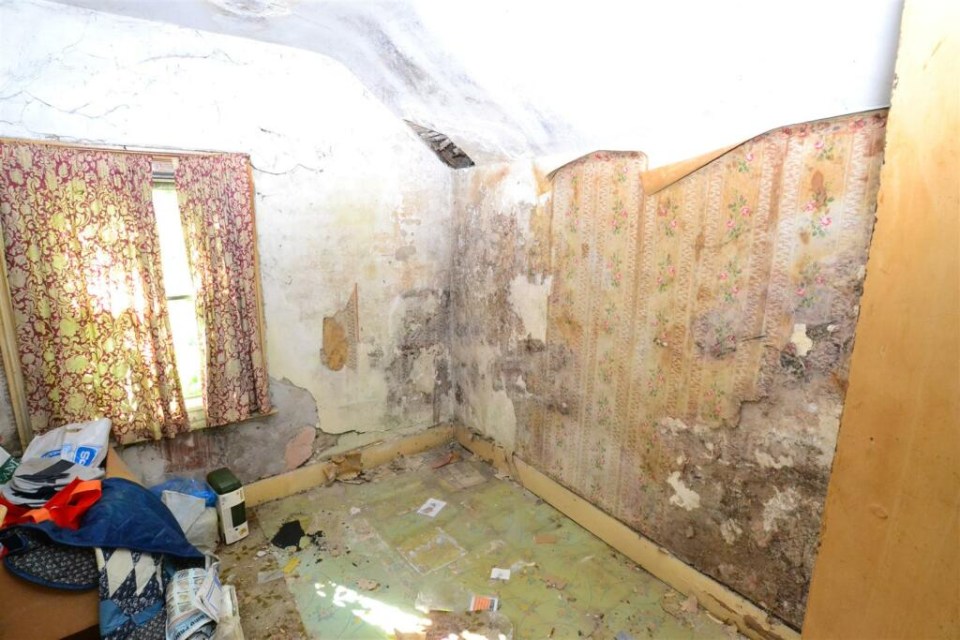 a room with peeling wallpaper and a box of kleenex on the floor