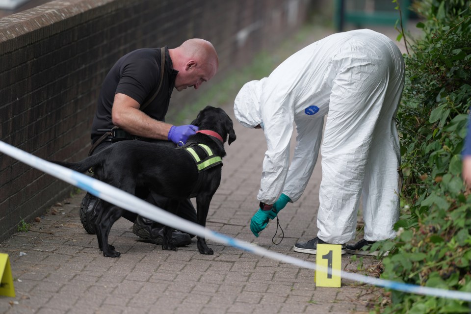 The teen had been stabbed to death near Crawley station