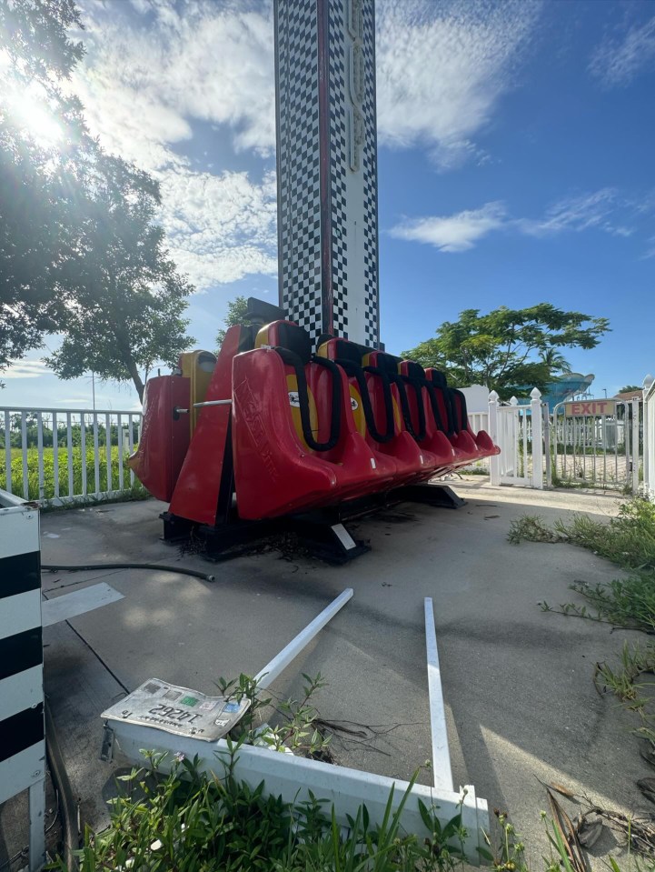 The drop tower ride is being taken over by weeds