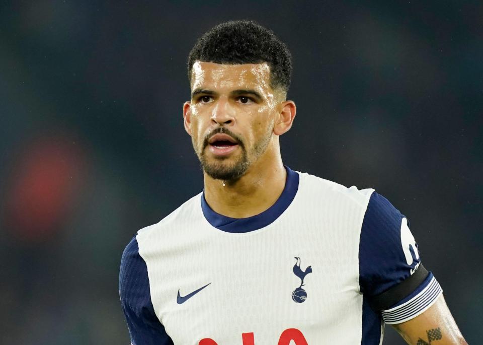 Tottenham's Dominic Solanke is the most expensive purchase by a Premier League side this summer