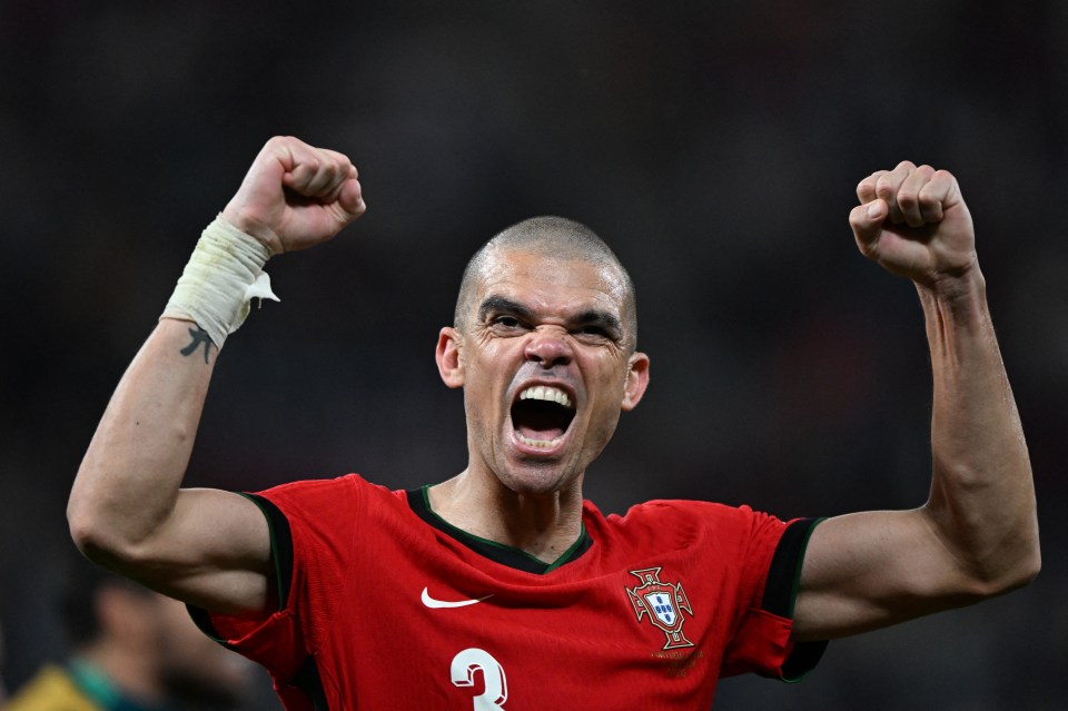 Pepe has announced his retirement