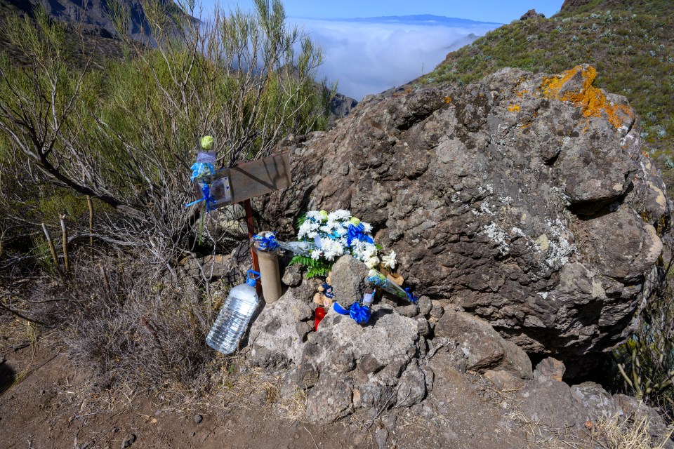 a sign on a rock with flowers and a bottle of water