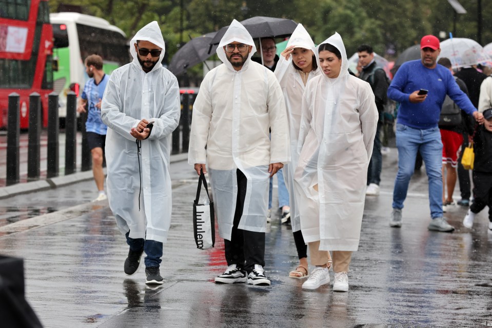 a group of people wearing clear raincoats are walking in the rain