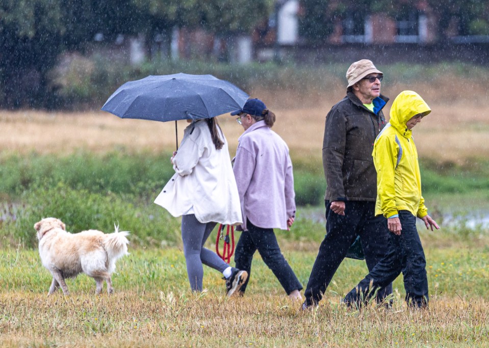 a group of people walking in the rain with umbrellas