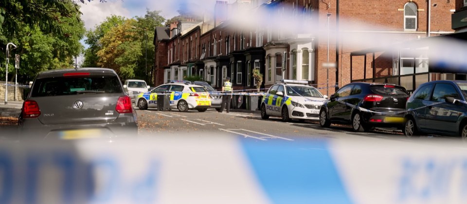 a row of police cars are parked on the side of the road