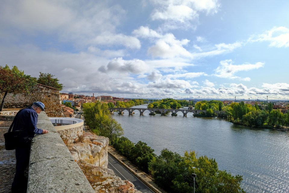 a man looking out over a river with a bridge in the background