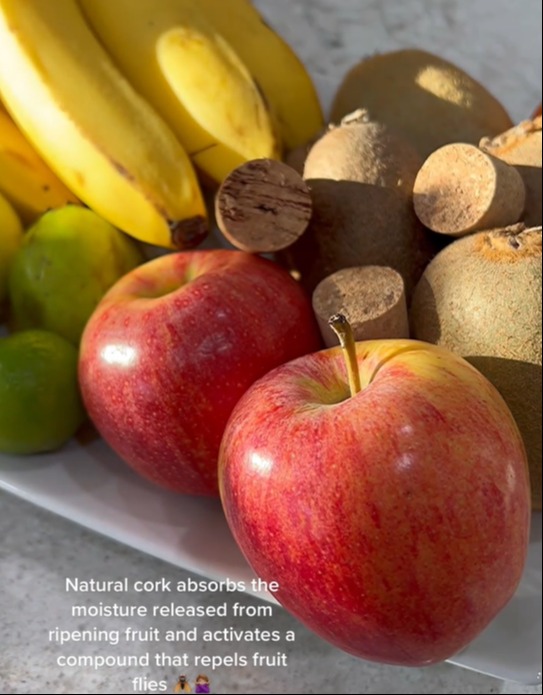 The TikToker placed corks in her fruit bowl to keep flies away from her food