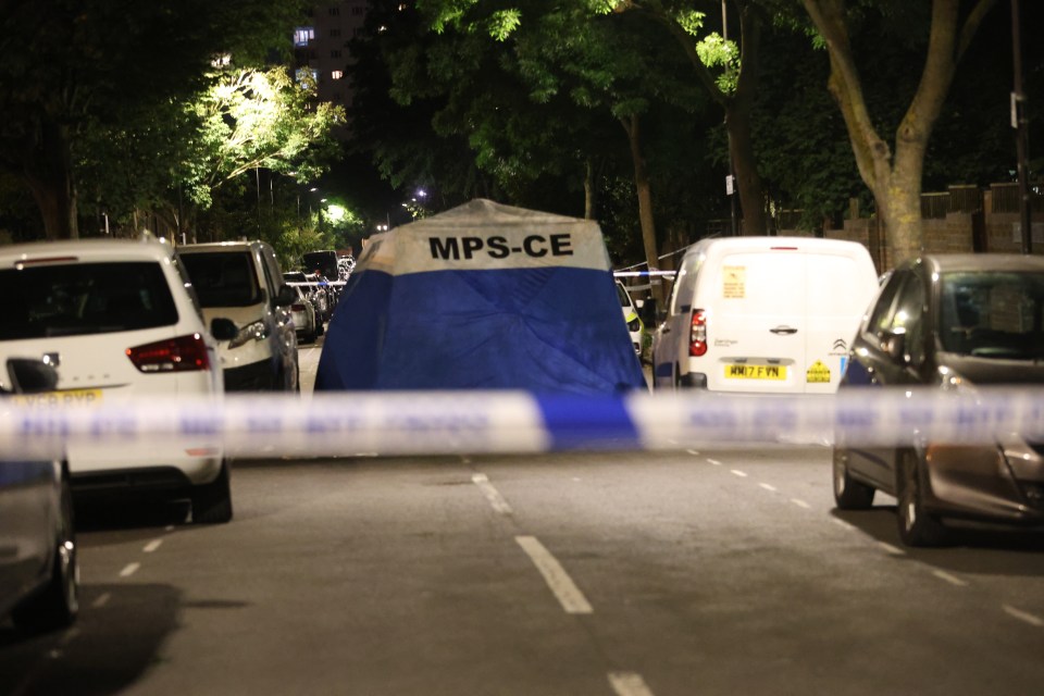 A man in his 30s was stabbed to death in Hackney yesterday