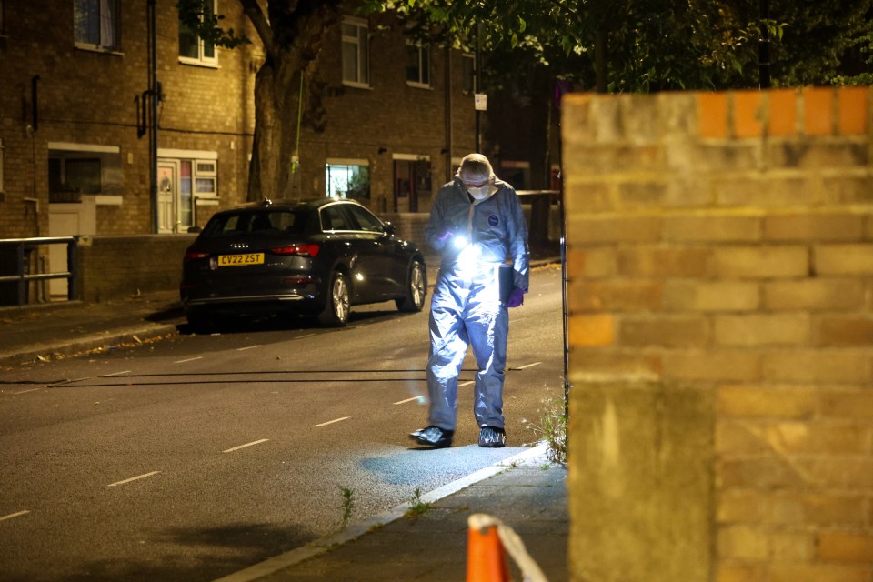 Forensic teams continue to scour the area